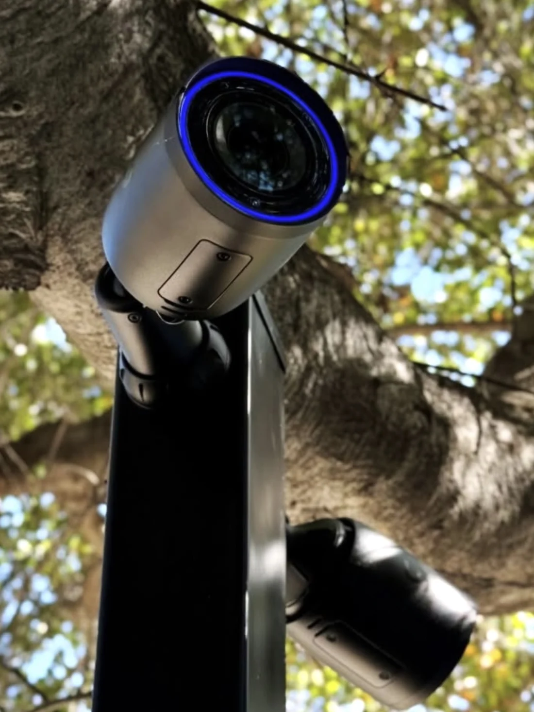 Camera en schijnwerper samen op dezelfde paal onder een boom