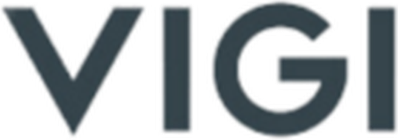 Logo VIGI