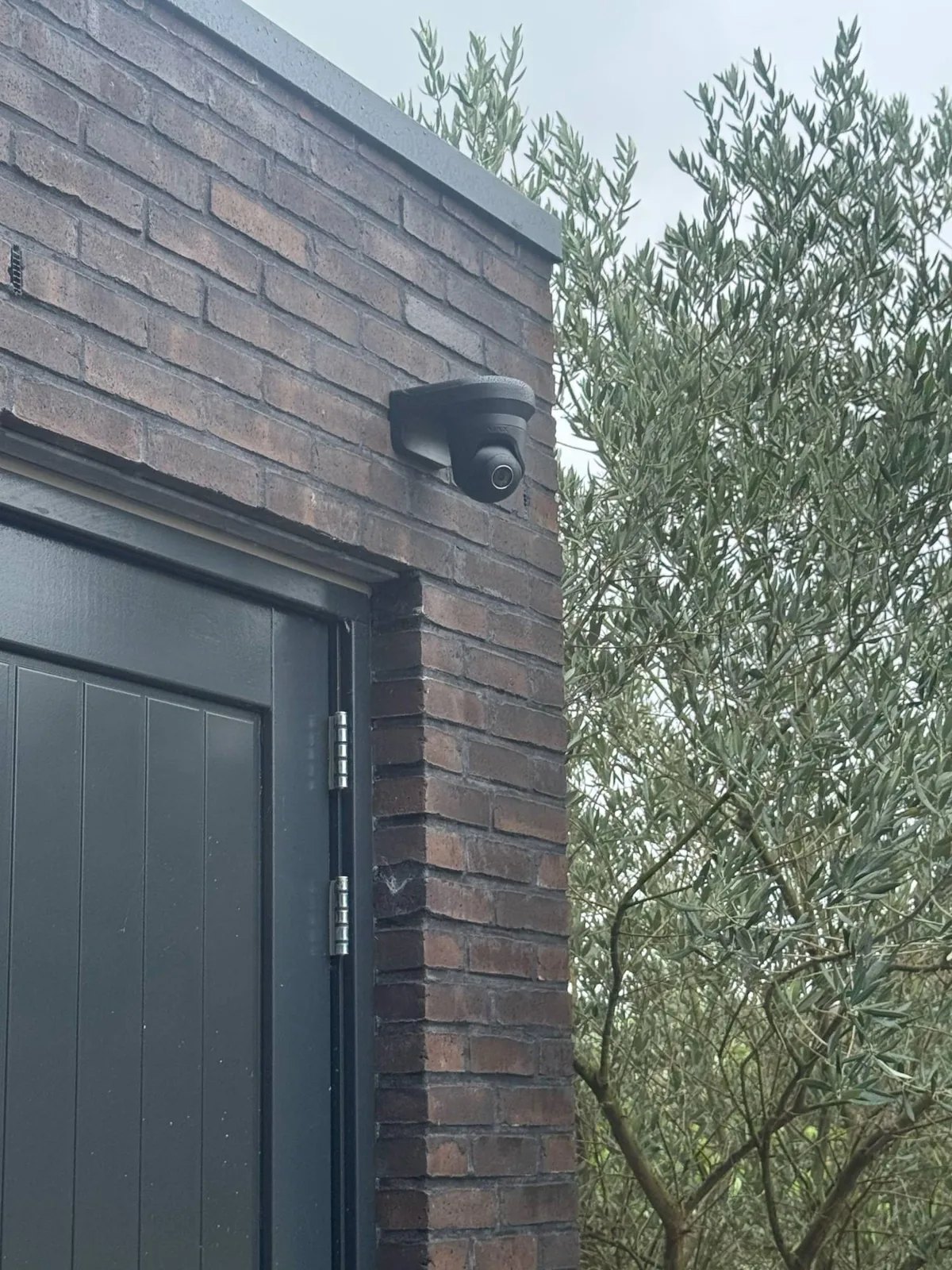 Zwarte Ajax-turretcamera op een zwarte beugel boven een donkergrijze deur in een gevel van donkere baksteen, met een olijfboom ernaast