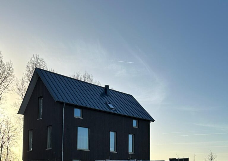 Donkere houten nieuwbouwwoning met een metalen dak, kale bomen en een open lucht