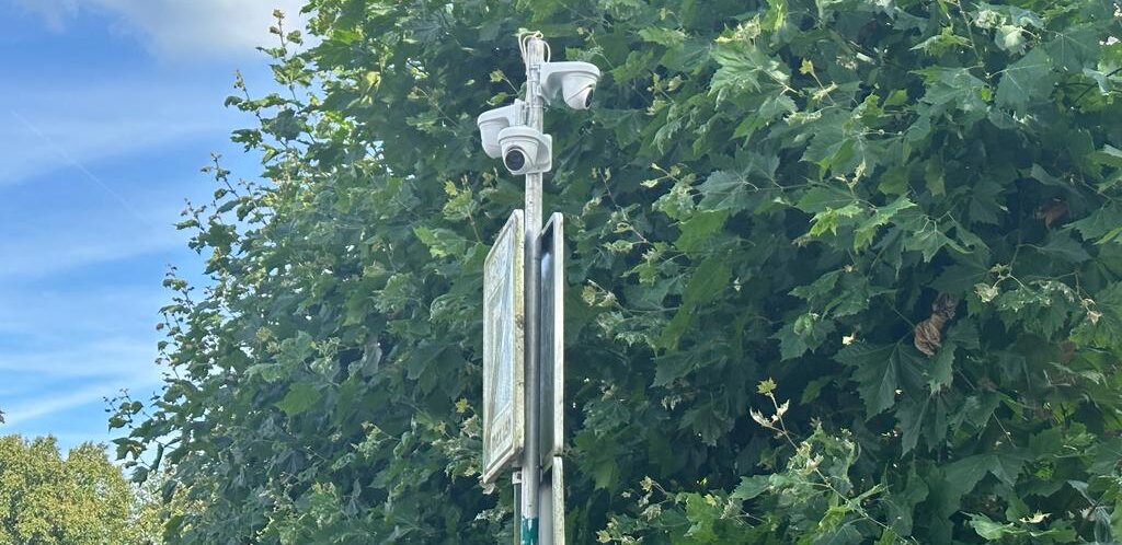 Drie witte camera's bovenaan een bordpaal voor een dichte groene boomkruin