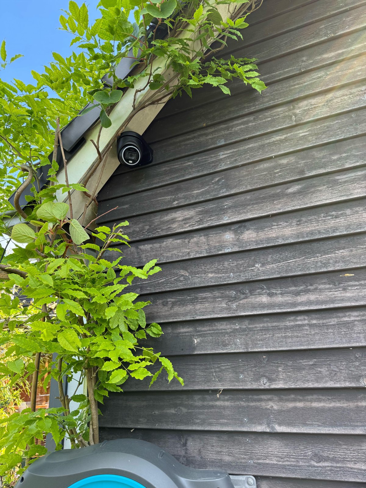 Zwarte turretcamera op een donkere houten gevel, half tussen de takken van een blauweregen