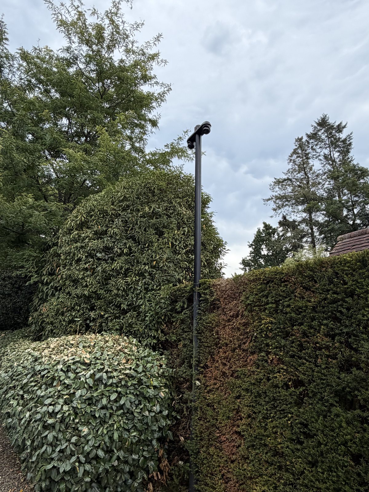 Slanke zwarte cameramast tussen hoge hagen en struiken in de tuin